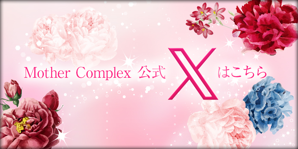 公式X